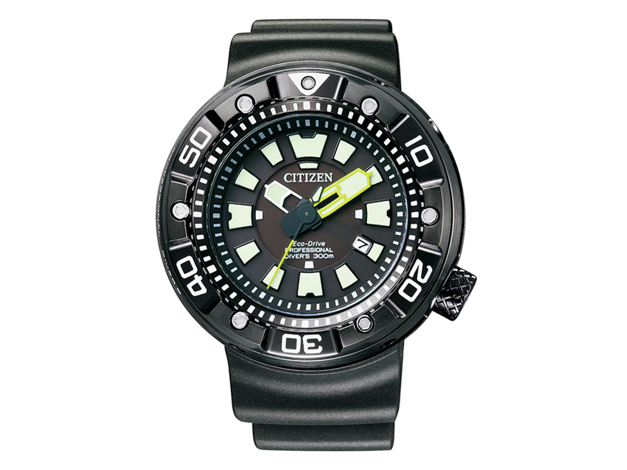 Professional 300m Diver BN0177-05E 
